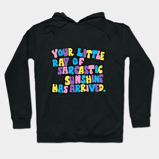 funny quote ray of sunshine Hoodie